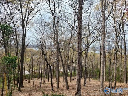 Homesite for sale in Marshall County, Alabama