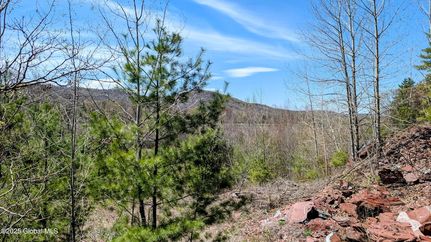 Undeveloped Land for sale in Washington County, New York