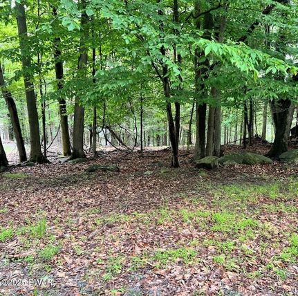 Land for sale in Wayne County, Pennsylvania