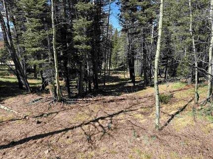 Undeveloped Land for sale in Colfax County, New Mexico