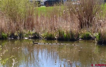 Lakefront Property for sale in Archuleta County, Colorado