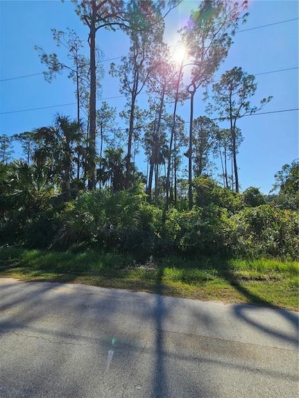 Homesite for sale in Flagler County, Florida