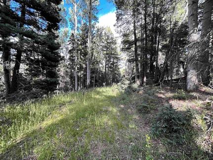 Undeveloped Land for sale in Colfax County, New Mexico