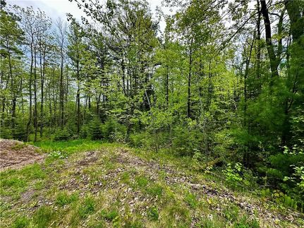 Land for sale in Chippewa County, Wisconsin