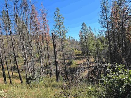 Undeveloped Land for sale in Siskiyou County, California
