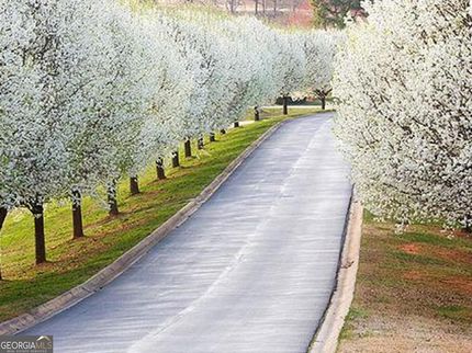 Homesite for sale in Habersham County, Georgia