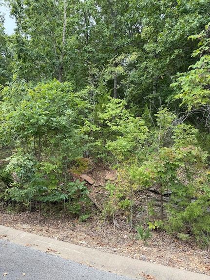 Homesite for sale in Taney County, Missouri