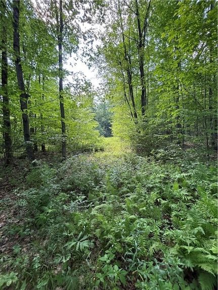 Homesite for sale in Chenango County, New York