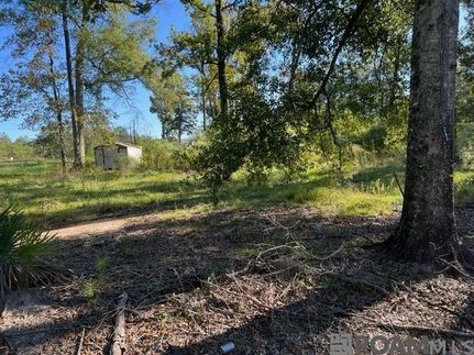 Undeveloped Land for sale in Livingston Parish, Louisiana
