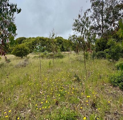 Homesite for sale in San Mateo County, California