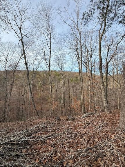 Undeveloped Land for sale in Monroe County, West Virginia