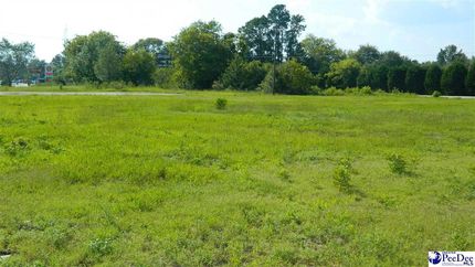 Land for sale in Marion County, South Carolina
