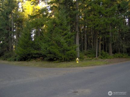 Land for sale in Pierce County, Washington