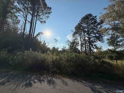 Homesite for sale in Etowah County, Alabama