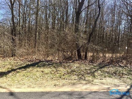 Homesite for sale in Lucas County, Ohio