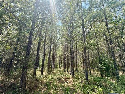 Hunting Property for sale in Hale County, Alabama