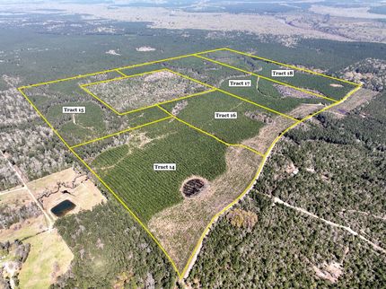 Land for sale in Tyler County, Texas