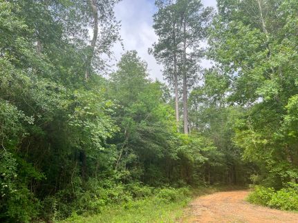 Undeveloped Land for sale in Hardin County, Texas