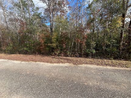 Land for sale in Butler County, Alabama