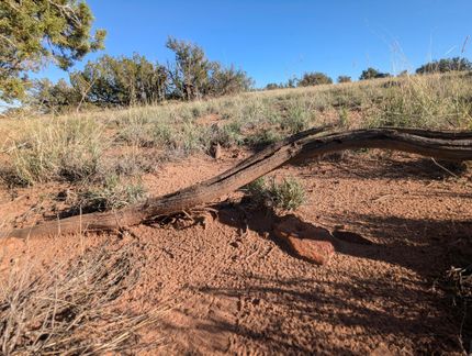 Homesite for sale in Apache County, Arizona