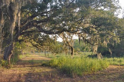 Undeveloped Land for sale in Brazoria County, Texas