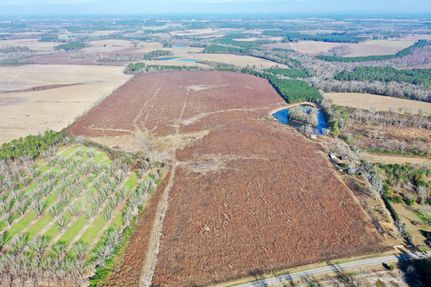 Land for sale in Irwin County, Georgia