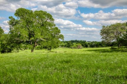 Undeveloped Land for sale in Washington County, Texas
