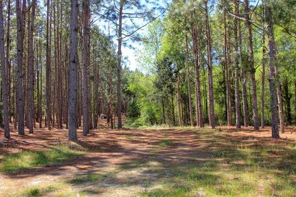 Hunting Property for sale in Dale County, Alabama