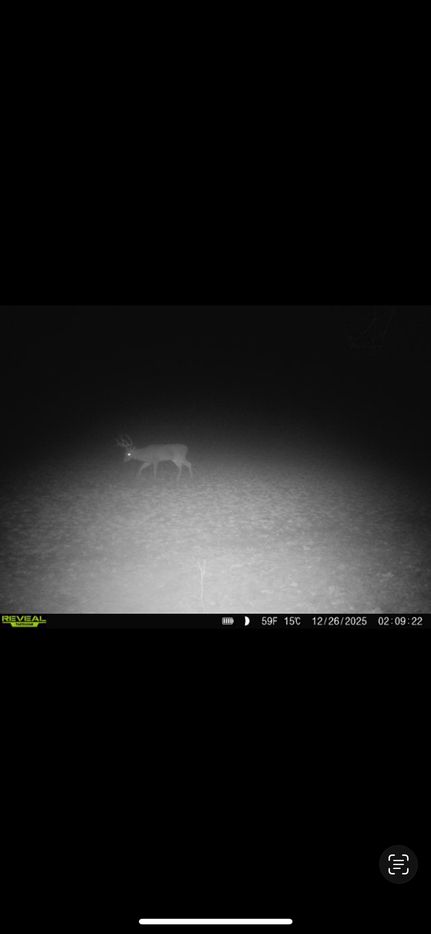 Land for sale in Alcorn County, Mississippi