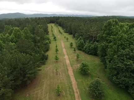 Hunting Property for sale in Etowah County, Alabama