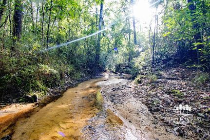 Recreational Property for sale in Gadsden County, Florida