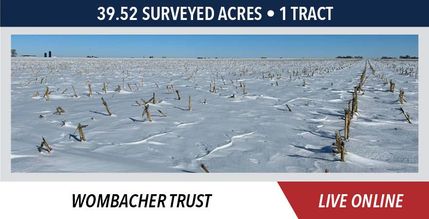 Land for sale in Marshall County, Illinois