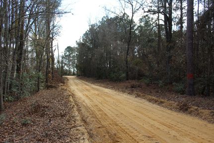 Land for sale in Florence County, South Carolina