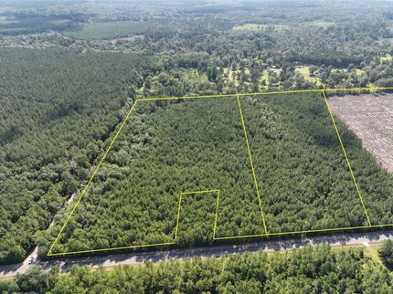 Undeveloped Land for sale in Allen Parish, Louisiana