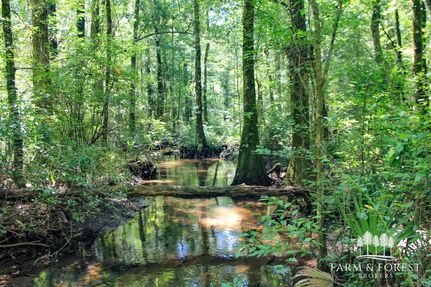 Land for sale in Holmes County, Florida