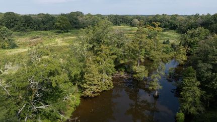 Land for sale in Leake County, Mississippi