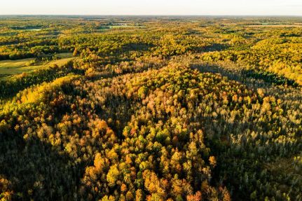 Timberland Property for sale in Marathon County, Wisconsin