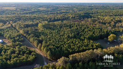 Recreational Property for sale in Geneva County, Alabama