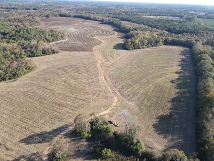Land for sale in Covington County, Alabama