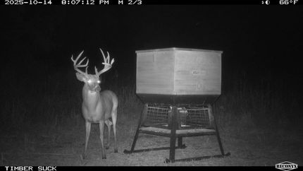 Farm and Ranch for sale in Barber County, Kansas