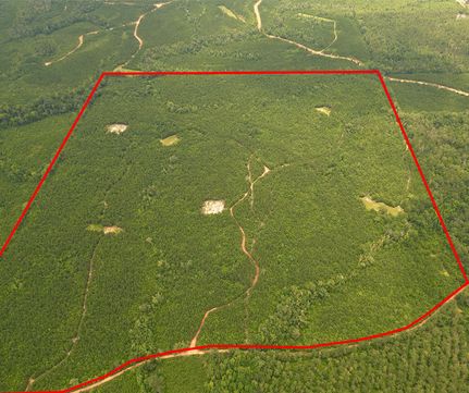 Land for sale in Conecuh County, Alabama