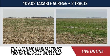 Land for sale in Greene County, Illinois