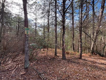Homesite for sale in Polk County, Tennessee