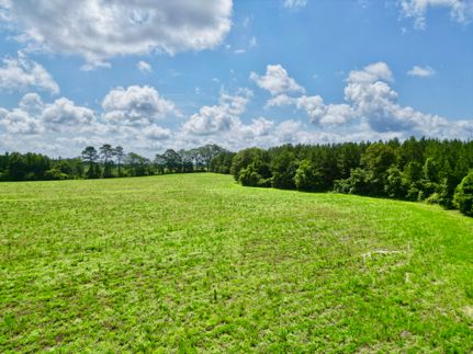 Undeveloped Land for sale in Pike County, Alabama