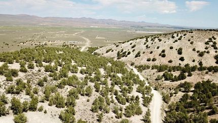 Land for sale in Elko County, Nevada