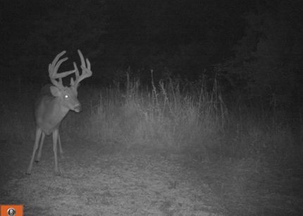 Waterfront Property for sale in Cowley County, Kansas