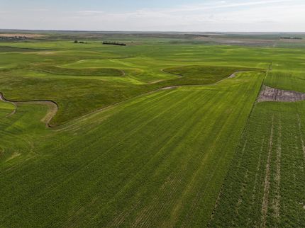 Land for sale in Bennett County, South Dakota