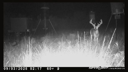 Timberland Property in Edwards County, Texas