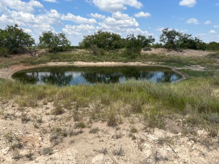 Hunting Property for sale in Runnels County, Texas