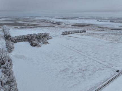 Land for sale in Griggs County, North Dakota